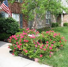 We did not find results for: Midwest Gardening Great Ideas For Using Roses In Your Gardens And Landscape