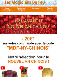 Les magiciens du feu ont une grande expérience en matière de feux d'artifices, une longue expérience dans les spectacles de pyrotechnique. Les Magiciens Du Feu