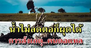 ในส งคมป จจ บ น ท คนเราต อง ใส หน ากาก เข าหาก นต อง เ ส แ ส ร งแกล งทำ ทำเป นด ต อหน า เพ อหว ง ผลประโยชน บางอย างในภายหล งบางคร คำคม