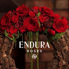 Make your shopping a happy shopping with incredible cuts in your save your money get 50% off at victoriaeggs.com! 2021 Endura Roses Discount Codes Updated In June
