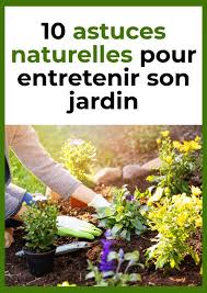 10 Astuces Naturelles Pour Entretenir Son Jardin Jardins Jardinage En Pots Terrarium Pour Plantes Grasses