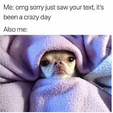 33 Funny Random Memes That Ll Put Some Pep In Your Step Funny Animal Pictures Funny Animal Memes Chihuahua