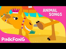 Children lyrics miscellaneous alice the camel alice the camel has five humps. Fun Educational Songs For Kids Humpy Lumpy Camel Camel Animal Songs Pinkfong Songs For Children
