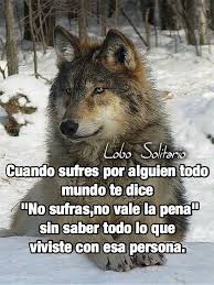 Que Si Vale Frases Frases De Fuerza Diario De Un Lobo