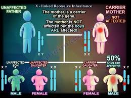 Figure 5 illustrates several examples. X Linked Recessive Inheritance Everything You Need To Know Dr Nabil Ebraheim Youtube