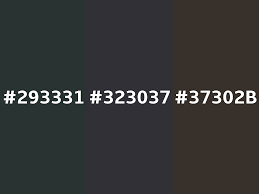 Converting Colors - Hex - 293331