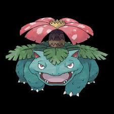 The easiest way to ensure you get the eeveelution you desire is to use the eevee evolution name trick. Pokemon Fact File 003 Venusaur Information Coded Yellow