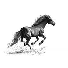 All the best mustang horse drawing 38+ collected on this page. Mustang Horse Drawing