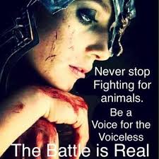 Against Hunting, Animal and Planet Cruelty