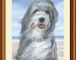 bearded collie kopf studieren fine art prints etsy hundekunst schone kunste hund zeichnen