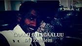 Maraadhu namana walaloo zelealem aberra tesfa. Hayyuu Walaloo Dr Zelalem Abarraa Youtube