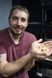 Roswell class of 2016 available boas