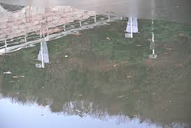 2013_12012013_3Digital0234