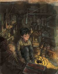 Harry Potter And The Order Of The Phoenix Jim Kay The Harry Potter Illustrated Edition Is Stunningly Gorgeous Harry Potter Illustrations Harry Potter Pottermore Harry Potter Universal