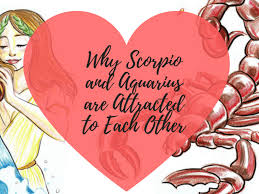 If you were born between october 23 and november 21, scorpio is your sign. Why Scorpio And Aquarius Are Attracted To Each Other Pairedlife