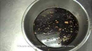 It is the savory sauce that has a bit of sweetness and saltiness, along with a slightly thick consistency. How To Make Chinese Brown Sauce Base Sauce Mother Sauce Youtube