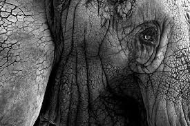 Maybe you would like to learn more about one of these? 7 Main Principles Of Design Photography