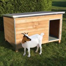 Niche Geante Xxxl Cielterre Commerce Toit En Toile Abri Nain