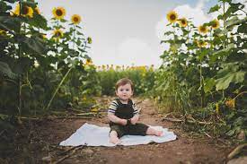Sussex County Sunflower Maze Children Kids Photography Photography Children Photography Childrens Photography