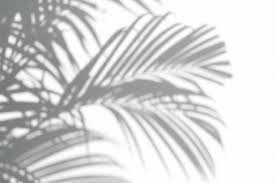 Fresh Dye Job We Ve Got You Covered Our Formulas Are Sulfate Free So They Won T Strip Color From Your Hair Additionally Our Color Prot Sfondi Ombra Foglie