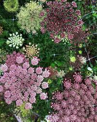 Pin On Landscaping