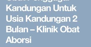 Obat Penggugur Kandungan Untuk Usia Kandungan 2 Bulan Klinik Obat Aborsi Bulan
