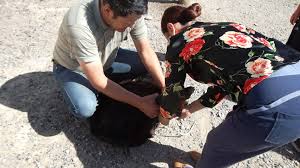 Read breaking headlines covering politics, economics, pop culture, and more. Time For More Meat Alastair S Blog Letter From Siberia