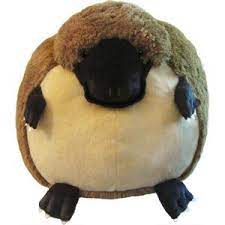Pin On My Squishables