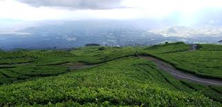 Jika ditempuh perjalanan darat dari kota palembang akan menghabiskan waktu selama 8 jam. Make A Delicious Ones Jalan Jalan Yuk Kebun Teh Gunung Dempo Pagaralam
