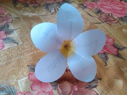 Pin On Hawaiian Party