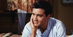 Austin Ackerman (LeviAckerman26)