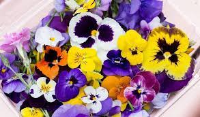 Edible flowers our variety of edible flowers is unsurpassed with its gorgeous pansies, vibrant violas, romantic roses, aromatic herb flowers, savory veggie flowers and so much more. The Man Fuelling Mexico City S Edible Flower Scene Culinary Backstreets Culinary Backstreets