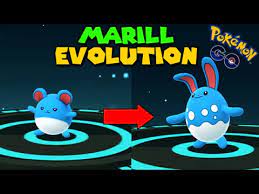 Most pokémon evolve when their friendship level reaches 220. Evolving Marill To Azumarill Pokemon Go Gen 2 Evolution Youtube