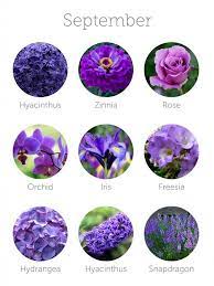 Vibrant wildflowers in purple vases and bottles. Wedding Budget Tip 16 Choose In Season Flowers To Save Money Wedding Flower Guide Purple Wedding Flowers September Flowers