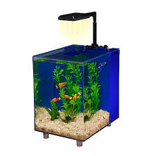 Corner fish tank with stand. Penn Plax Prism Desktop Aquarium 2 Galblue Ww120b At Tractor Supply Co