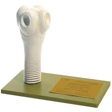 Image result for Beef Tapeworm