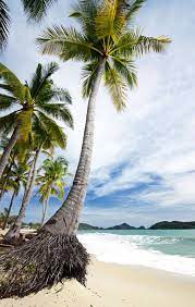 Langkawi Beach By Jens 500px Langkawi Beach Langkawi Beach