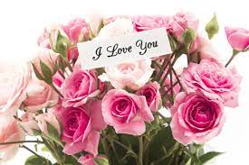 Flowers sent for mom are a clear indicator of your appreciation, respect, and love. Cute Messages To Send With Flowers Social Mettle