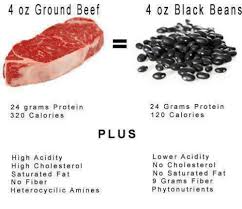 4 Oz Ground Beef 4 Oz Black Beans 24 Grams Protein 320 Calories 24 Grams Protein 120 Calories Plus High Acidity High Cholesterol Saturated Fat N O Fiber Heterocycilic Amines Lower Acidity