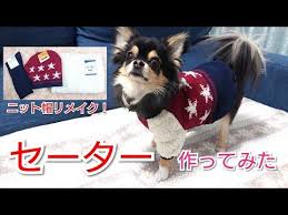 犬 おしゃれまとめの人気アイデア pinterest jun 犬 小型犬の服 犬 服 手作り