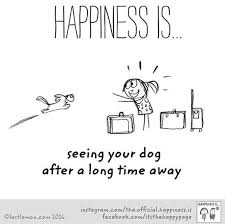 Don T Know Why Some People Try To Insult Someone By Calling Them A Dog Should Be A Compliment To Be Associated With Such Loy Dog Quotes Happy Dogs I Love Dogs