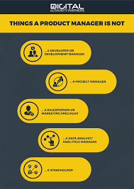 Pin On Product Manager Infographics