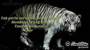 Maybe you would like to learn more about one of these? Kata Kata Macan Putih Lagi Sedih Youtube