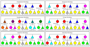 File Kinship Systems Svg Wikimedia Commons