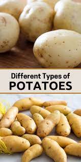 Different Types Of Potatoes Our Deer Types Of Potatoes Potatoes Blue Potatoes