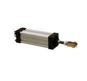 Buyers Products TGC25008V Tailgate Cylinder ... - Amazon.com