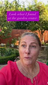 Look what I found at the garden center today! Have you ever seen a purple  cyclamen before? Well I haven’t until today so of course I had to purchase  it. It goes perfectly with the plants with purple ...