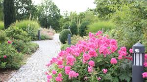 Maybe you would like to learn more about one of these? Spa Gardens And Certified Vital Course Next To The Sibyllenbad