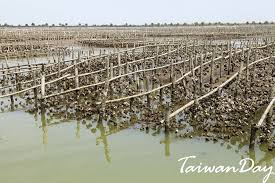 嘉义景点 潮间带休闲馆 真实体验到渔村聚落的特殊风情 taiwanday city photo photo coastal