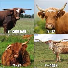 Brian Marks On Twitter Math Humor Math Memes Science Jokes